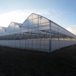 Энергоэффективные системы выращивания в теплицах