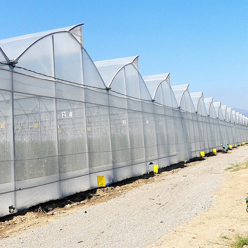 Sawtooth GreenhouseFor Vegetables