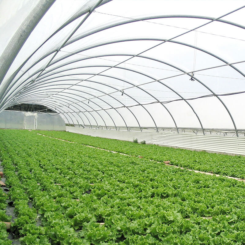 High Quality single span greenhouse