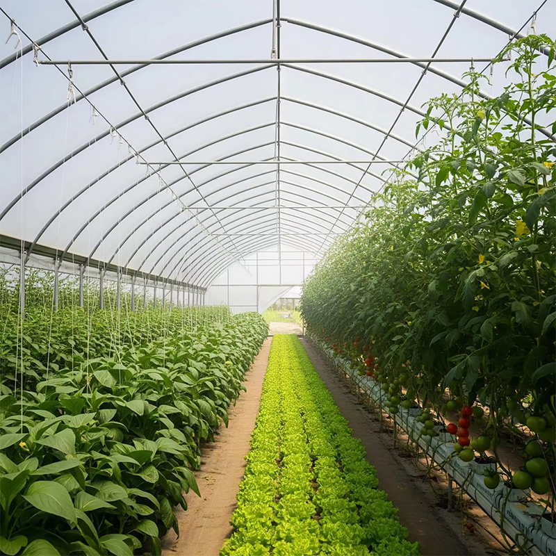 Agricultural single span greenhouse