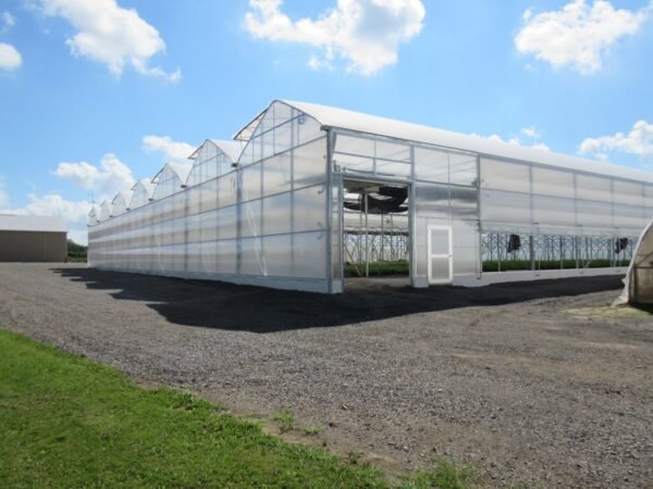 Многофункциональные системы выращивания в теплицах