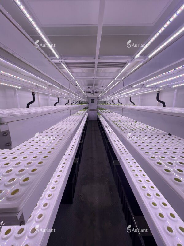 Controlled-Environment Hydroponic Shipping Containers