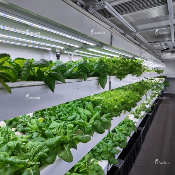 Soil-Free Hydroponic Shipping Containers