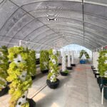 Greenhouse Hydroponic Towers