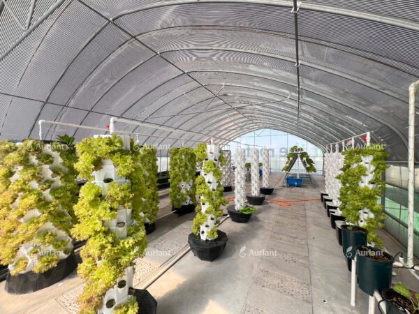 Greenhouse Hydroponic Towers