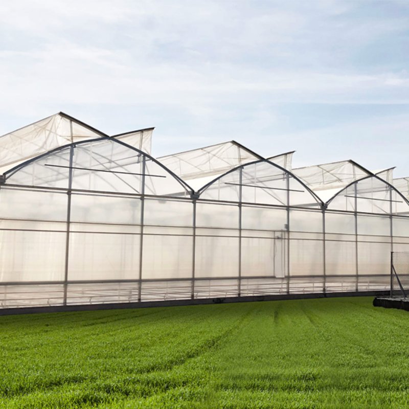 Top 10 Benefits of Using a Plastic Film Greenhouse for Farming