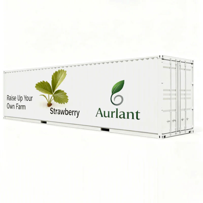 Strawberry Container Farm