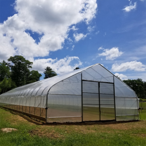 Single Span Film Tunnel Greenhouse
