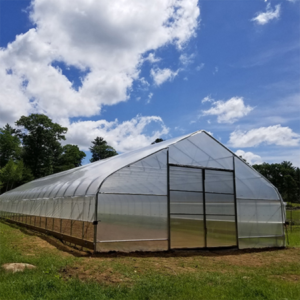 Cost-Effective Single Span Film Tunnel Greenhouse for Vegetable Farmin