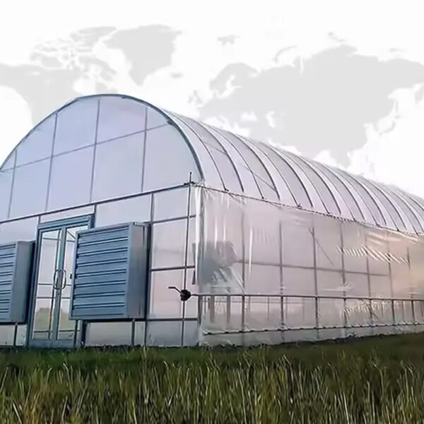 Single Span Film Tunnel Greenhouse