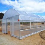 Single Span Film Tunnel Greenhouse