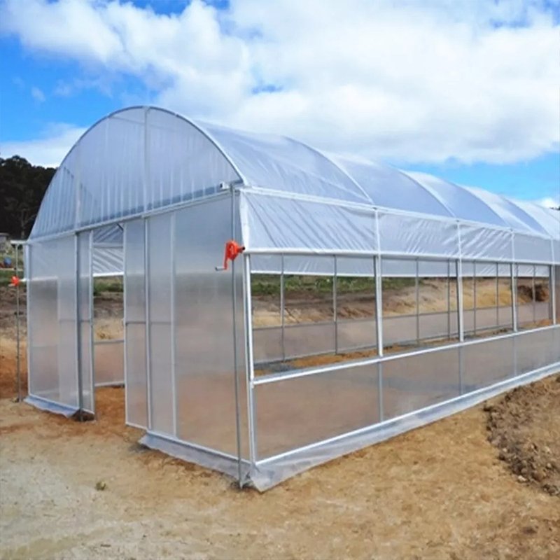 Single Span Film Tunnel Greenhouse