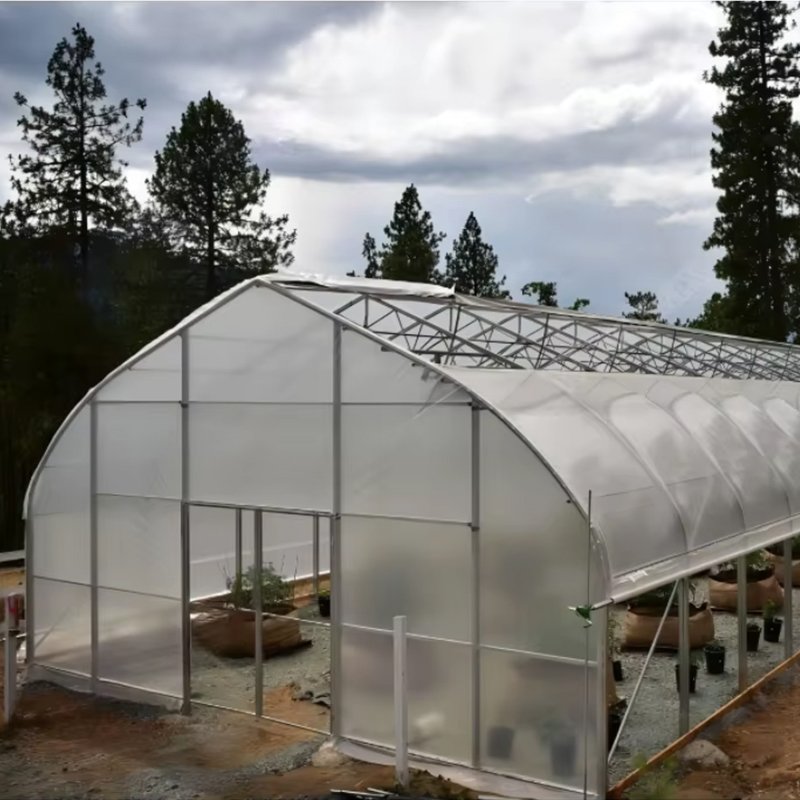 Agricultural Single Span Film Tunnel Greenhouse