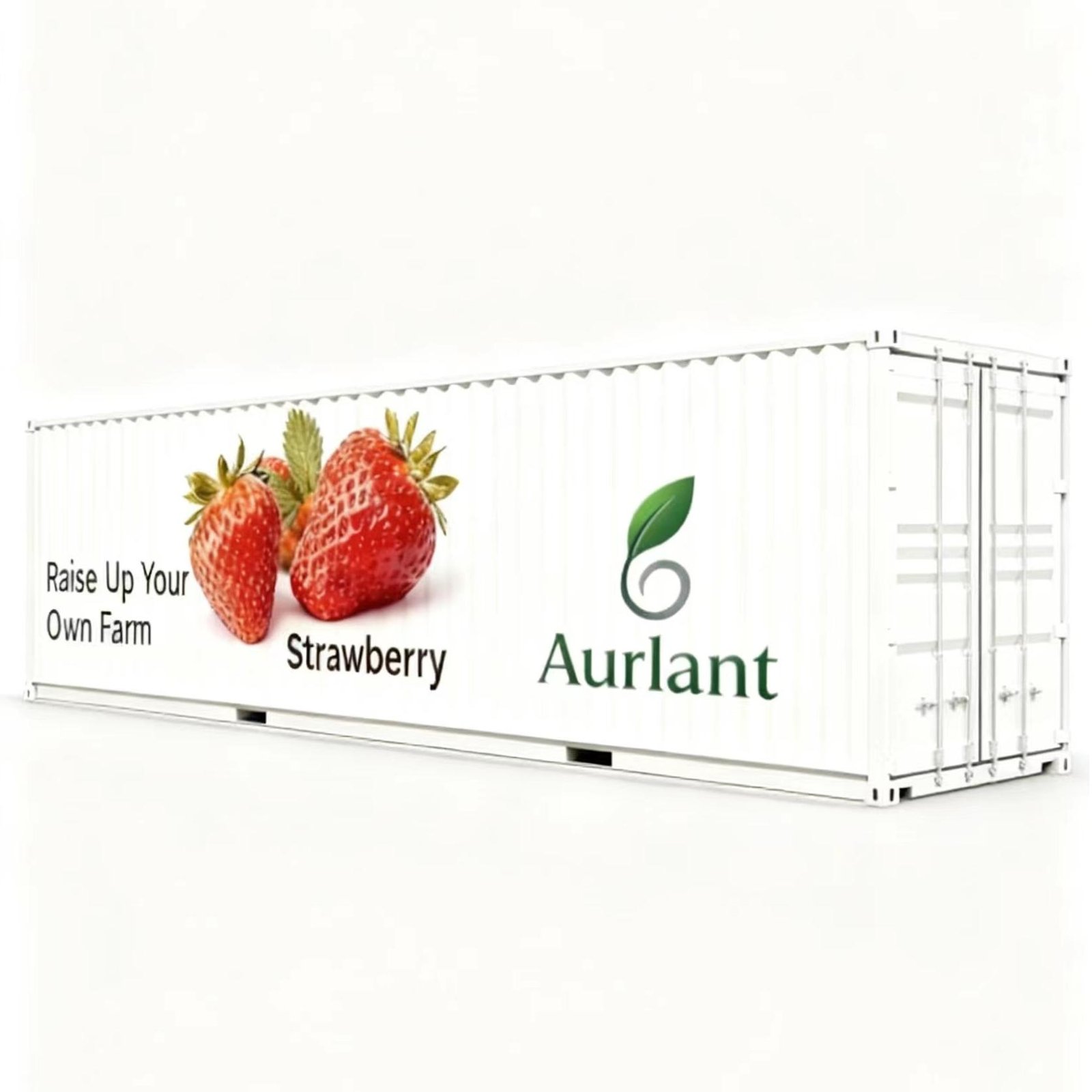 Commercial Strawberry Container Farm
