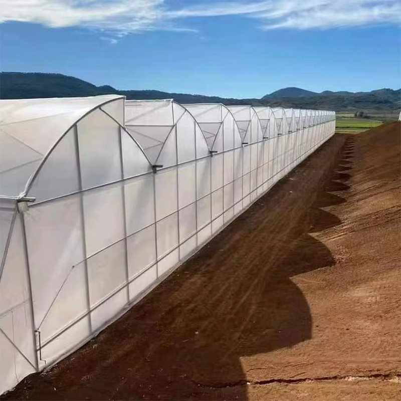 Multi-span tunnel plastic film greenhouses