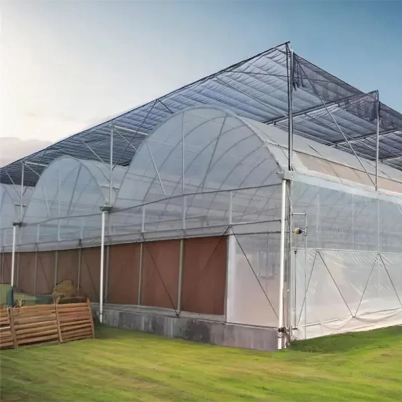 Multi Span Film Tunnel Greenhouse