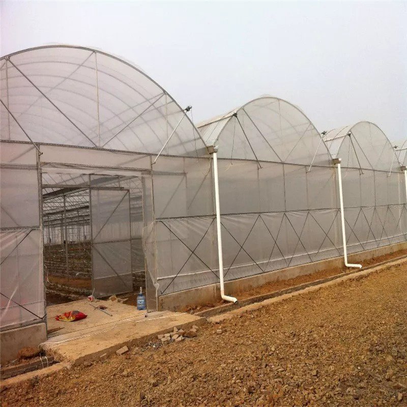 Multi Span Film Tunnel Greenhouse With Ventilation System
