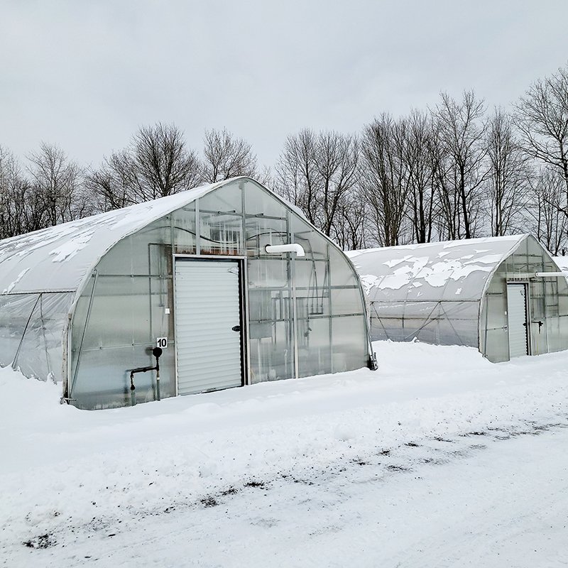 High Quality Single Span Film Sawtooth Greenhouse