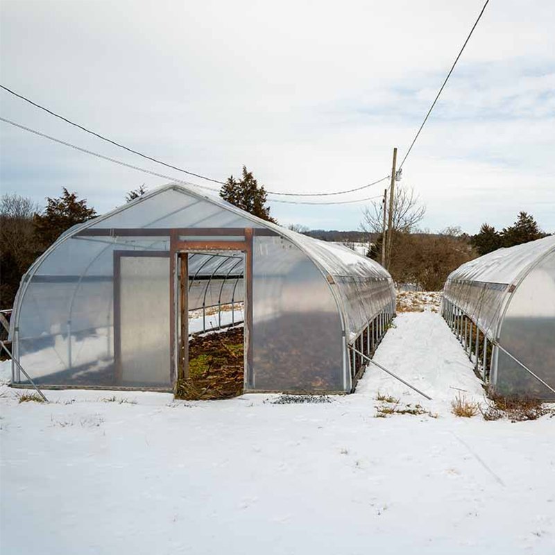 Large Single Span Film Sawtooth Greenhouse