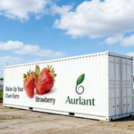Automated Strawberry Container Farm