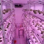 Modular Strawberry Container Farm