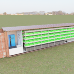 Large-Scale Strawberry Container Farm