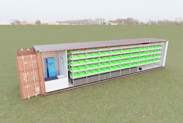 Large-Scale Strawberry Container Farm