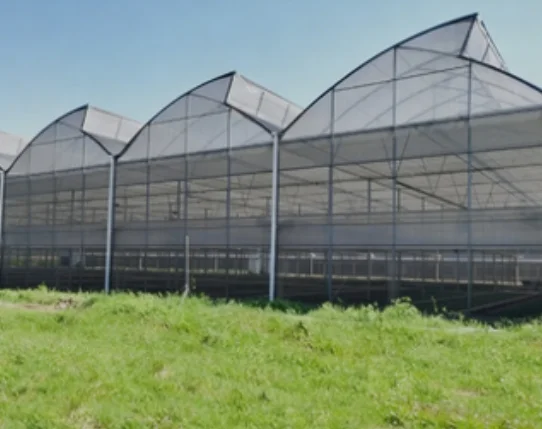 Commercial Film Sawtooth Greenhouse