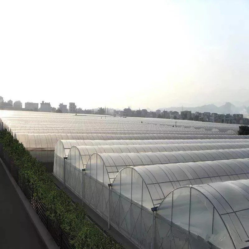 Economical multi span greenhouses