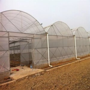 Commercial Multi-Span Plastic Film Greenhouse