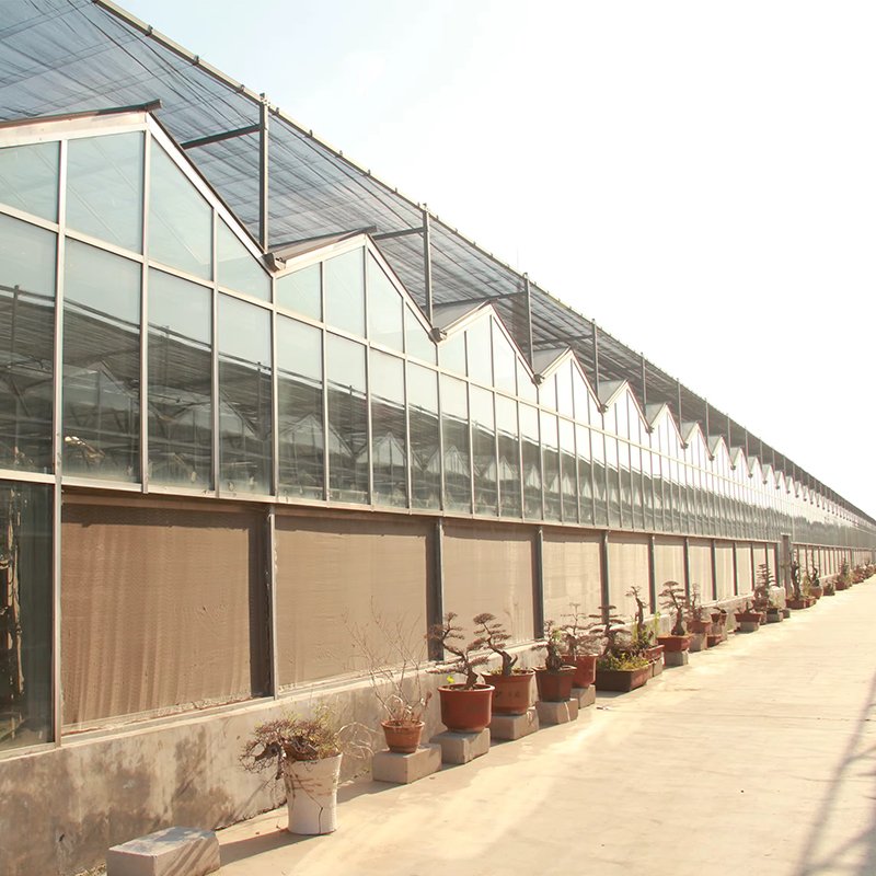 gran invernadero de cristal