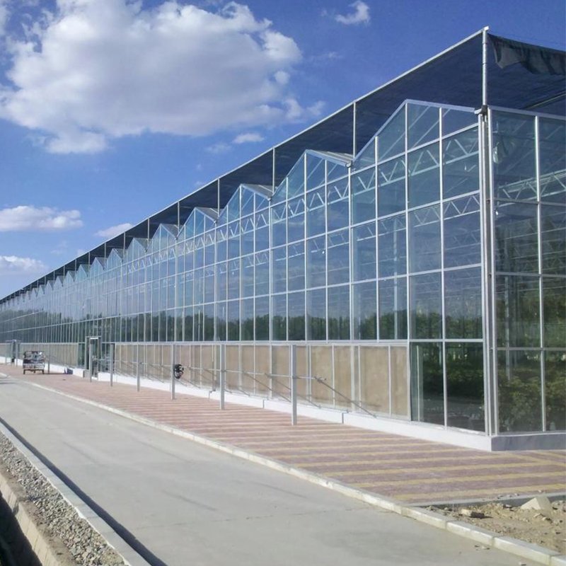invernadero comercial de cristal