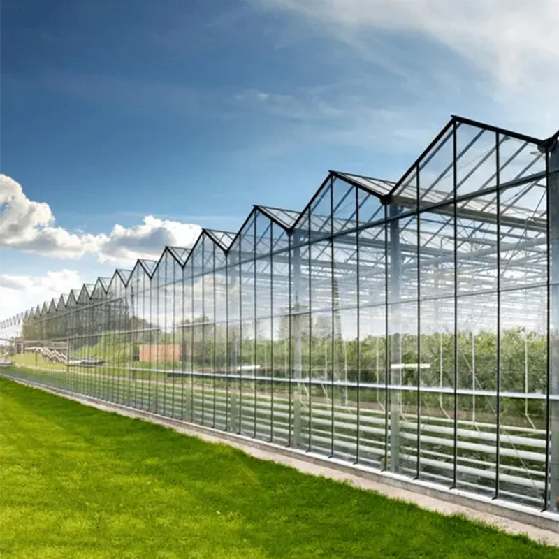 large glass greenhouse