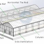 Agricultural Multi Span Greenhouse