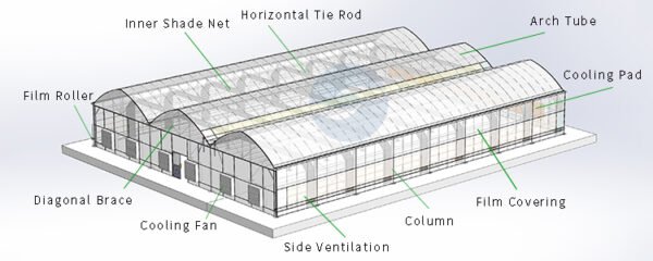 Agricultural Multi Span Greenhouse