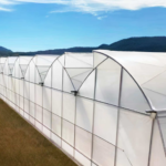 Long-Life Multi Span Greenhouse