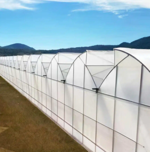 Hot-Dip Galvanized Structure Sawtooth Greenhouse