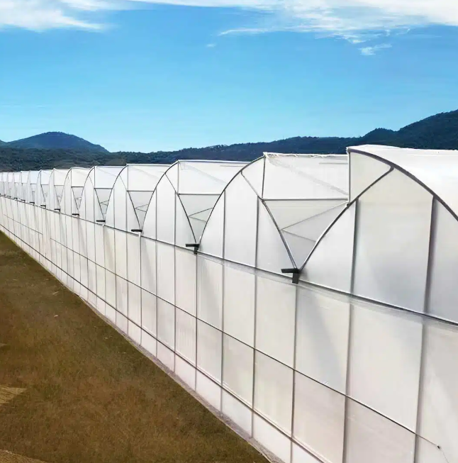 How Roof Ventilation Works in a Sawtooth Greenhouse