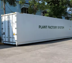 Hemp Container FarmFor Flower Growing