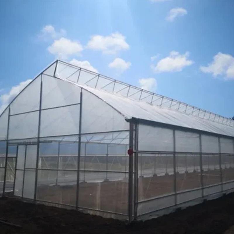 Single-span sawtooth greenhouse with ventilation system