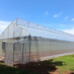 Single Span Film Sawtooth Greenhouse For Strawberries