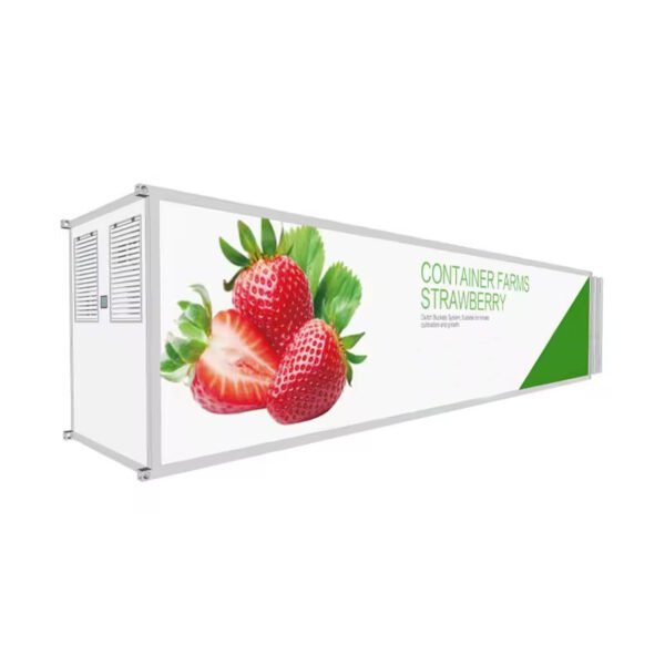 Cost-Effective Strawberry Container Farm