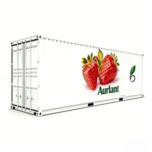 high quality strawberry container farm