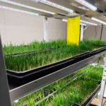 20ft Fodder Container Farm