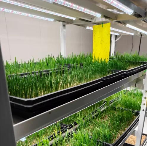 20ft Fodder Container Farm