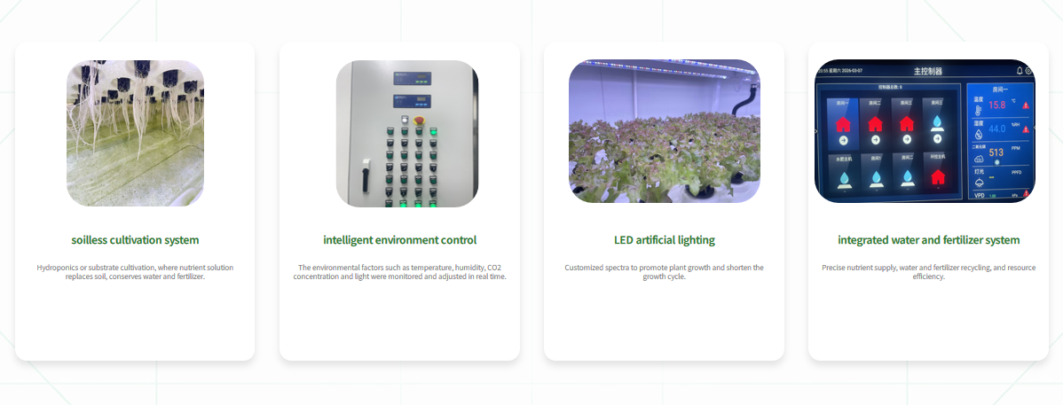 Leafy Vegetable Container FarmCore Technology & System Components