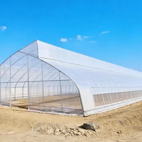 Agriculture Single Span Film Sawtooth Greenhouse with Side Ventilation