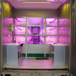 Multi-Layer Design Hemp Container Farm