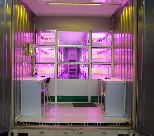 Multi-Layer Design Hemp Container Farm