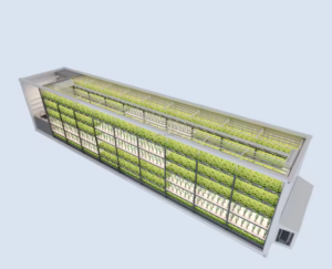 Hemp Container Farm With Irrigation System
